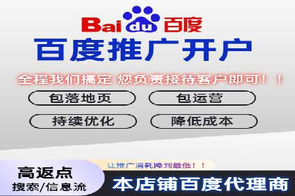 某电商平台的托管SEM竞价策略大揭秘